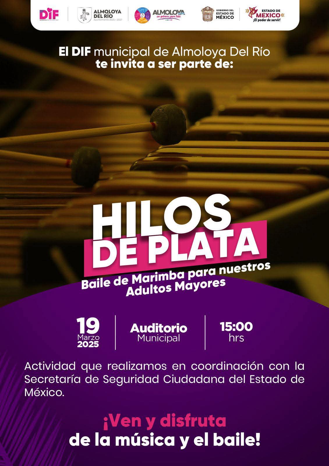 Flyer 11 infografia.jpeg